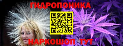 прущие грибы Бузулук